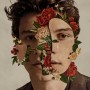 Shawn Mendes - Where Were You in the Morning? (가사 해석/번역 뮤비 듣기)