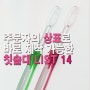 칫솔 샘플 리스트 14 ( 헤드교체용 칫솔 제작 / 칫솔모 리필용 칫솔 )