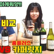 4900원 초저가 와인 비교 도스코파스 vs 카퍼릿지 2탄 레드와인편