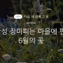 6월, 네 옆에 핀 그 꽃