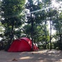 [86th & 27th Camping] 숲속으로,, 시원한,, 나무 그늘 아래,, in 마운틴캠핑장, 용인
