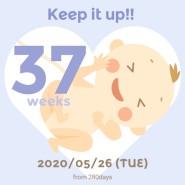 [으뜸이의daily]임신 37주차 증상(임신10개월) 일상