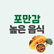 포만감높은음식 건강한 식단조절