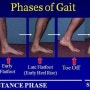 발목 재활 운동 3 - 습관성 발목 염좌 Ankle Sprain & 발목 불안정증의 보행 교정 2번째 [방배동 내방역 / 논현동 스포츠재활 & 체형교정 준문 소마루트]