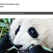 6월 5일 세계 환경의 날 UN World Environment Day - 텀블러 에코백 사용실천