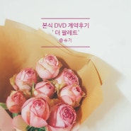 가성비 갑 본식 DVD '더 팔레트' 계약 후기