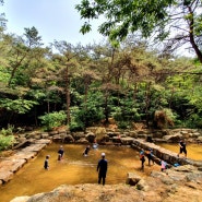 곡성솔바람야영장