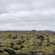 Iceland #1 흔하디 흔한 아이슬란드 풍경들
