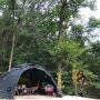 [89th & 30th Camping] 숲속 캠핑,, in 용인자연숲캠핑장, 용인