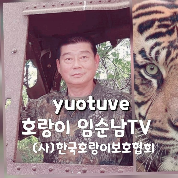 유튜브 호랑이 임순남TV youtube tiger Lim sun-nam TV : 네이버 블로그