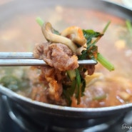 샤브칼국수 맛있는 과천맛집