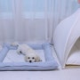 강아지 대리석 쿨매트 [반달펫] 내돈내산