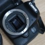 보급기 DSLR 답지 않은 성능 여행용 카메라 캐논 EOS 850D