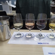 WSET 와인 자격증 중급 1회차 - WSA 와인아카데미