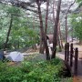 ［월악산 송계계곡］ 덕주 야영장 낭만의 우중 캠핑