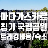 [서른맞이배낭여행] D+110 마다가스카르 칭기 국립공원 트래킹 입장료(비용)/베코파카(베마라하) 칭기 숙소