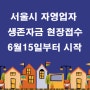 서울시 소상공인 자영업자 생존자금지원 6월15일부터 방문접수 가능합니다