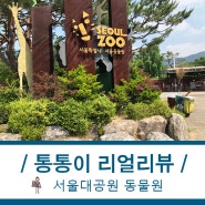 서울대공원 동물원 입장료, 데이트 즐기는법!