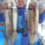 강원도 동해안 오징어낚시 채비 고성 양양 속초 화살촉오징어 낚시 가격