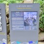 부산 가볼만한곳♥ 부산타워가 있는 용두산공원
