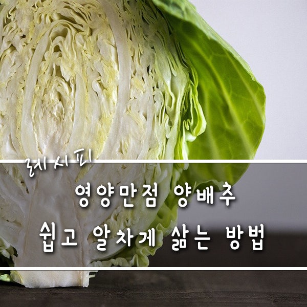 양배추 알차게 삶는 방법 : 네이버 블로그