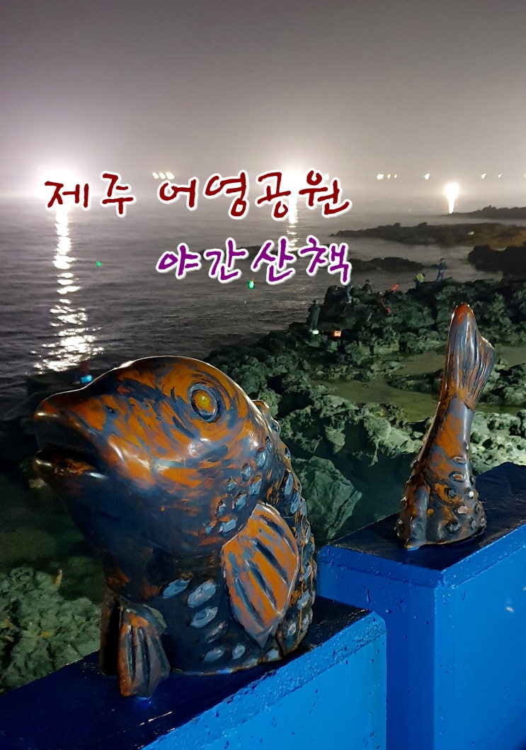 용두암 먹거리장터와 어영공원 야경 #4