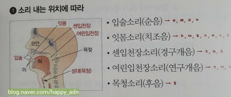 중3 국어 음운의 체계(2) : 네이버 블로그