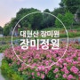 성동구 대현산 장미 정원 장미꽃 구경 ~