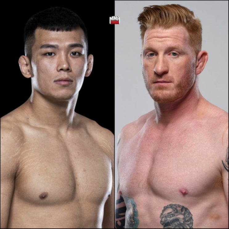 UFC 정다운 vs 에드 허먼, 케이터 vs 이게 …