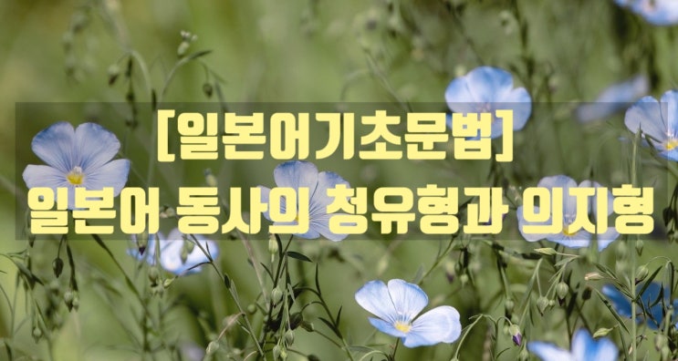 [일본어기초문법] 일본어 동사의 청유형과 의지형