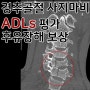 추락사고 사지마비 환자 일상생활기본동작제한 (ADLs)검사 보상사례