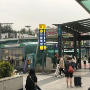 T-map 티맵 택시 vs 카카오 T 택시 / 택시비 비교~ 어디가 더 쌀까요? 택시비 아끼는 방법소개