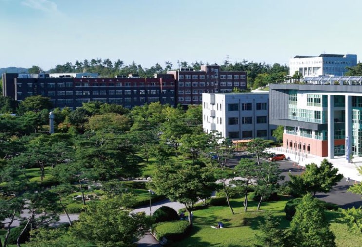 군산대 수시등급 (2020) : 네이버 블로그