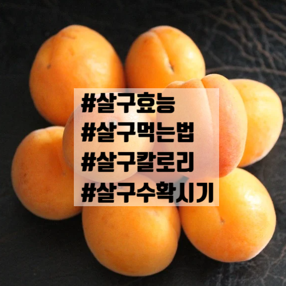 살구 효능 먹는법 수확시기 칼로리 비누 부작용 나무 : 네이버 블로그