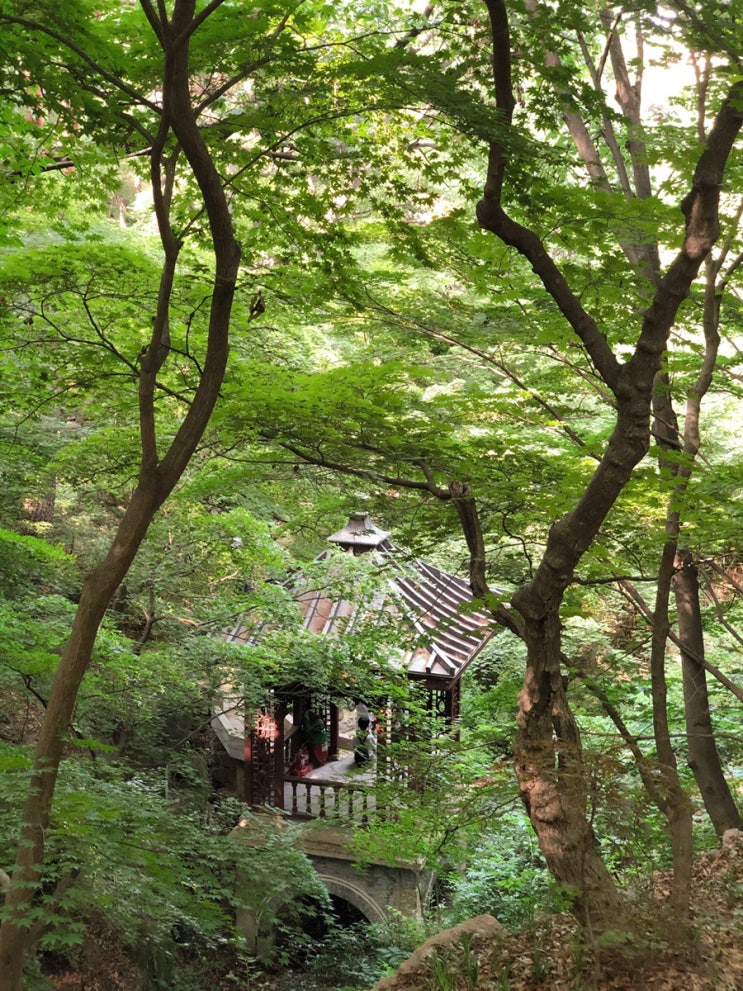 부암동 석파정 서울미술관 : 장관이네요 절경이고요 : 네이버 블로그