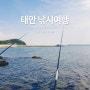 [ 태안 낚시 / 1박2일 ] 파도야 펜션 . 채석포항 . 연포해수욕장