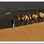 [6년 전 오늘] [ 중국/바단지린 ] 바단지린 사막 낙타와 삶을 찾아 ,