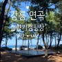 강릉캠핑 : 연곡 솔향기 캠핑장 후기! 바다 그리고 소나무숲~최고!