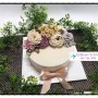 인천앙금떡케이크만들기,동인천한국문화센터,인천앙금플라워배우는곳,인천떡케이크
