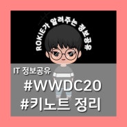 [IT정보공유] WWDC20 주요 키노트 정리
