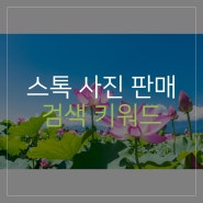 픽스타 스톡 사진 검색 키워드 - 5월 인기 키워드