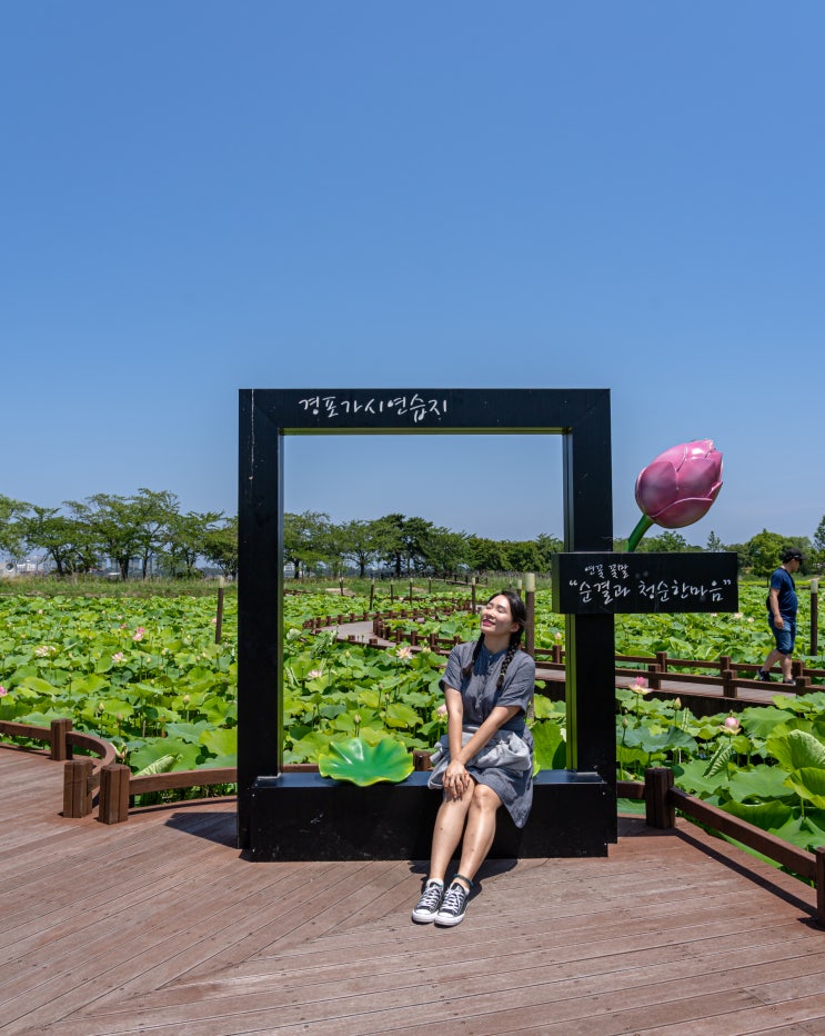 경포호 자전거 대여 가격