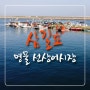 [서산여행] 삼길포 선상어시장, 삼길포맛집 삼봉수산