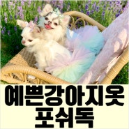 예쁜 강아지옷 시원한 여름원피스 포쉬독