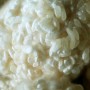 누룩 고두밥 효모 전통 발효주 만들기