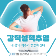 센텀도수치료 내 몸의 척추가 뻣뻣해진다 ―강직성척추염