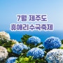 휴애리수국축제 7월 여름 제주도 상징!