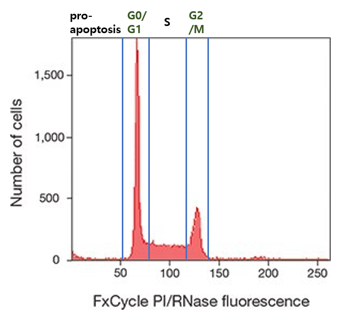 [Flow Cytometer] 세포주기 분석하기 : 네이버 블로그