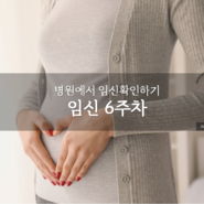 [임신 일기] 산부인과 초진, 임신 확인, 임신확인서, 임신 6주차 증상