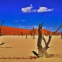 나미브사막과 데드블레이